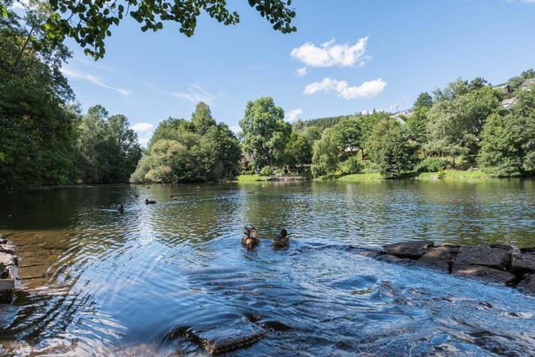 Schwarzwald-Traum Mit Pool Und Sauna Unterkirnach Exterior foto